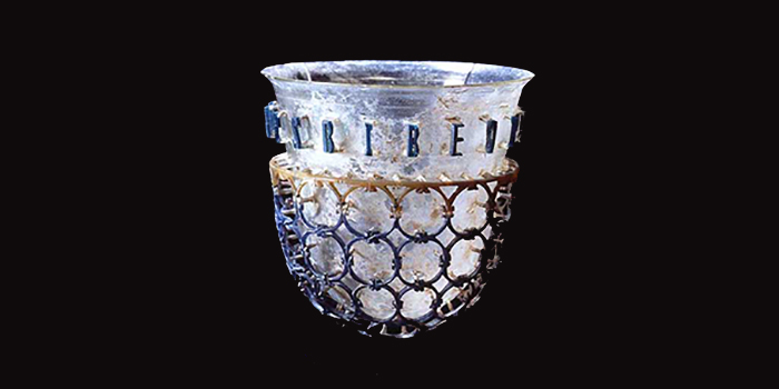 Scopri le collezioni del Museo